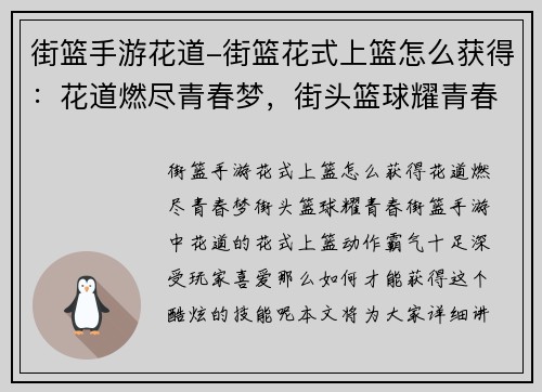街篮手游花道-街篮花式上篮怎么获得：花道燃尽青春梦，街头篮球耀青春